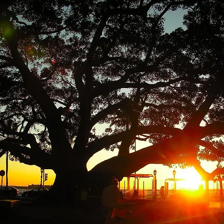 Lejlighed La Caleta De Cádiz