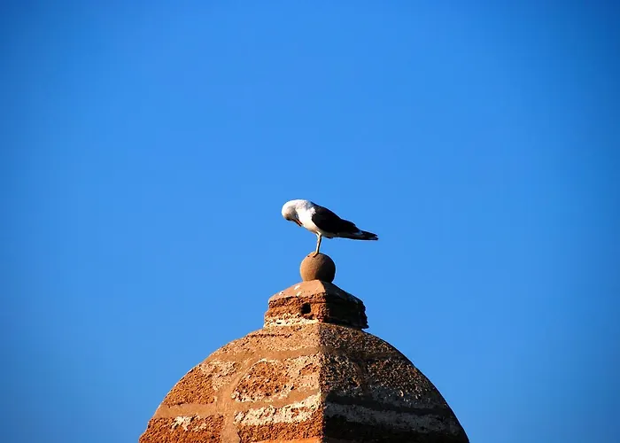 La Caleta De Apartamento *
