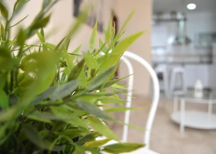 La Caleta De Lejlighed *