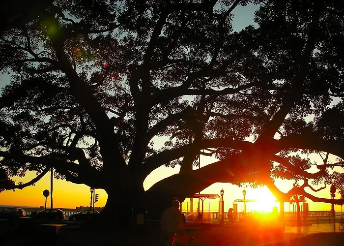 Daire La Caleta De Cadiz
