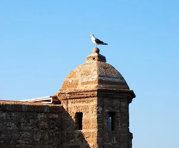 Daire La Caleta De *