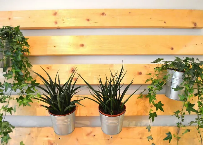 Daire La Caleta De Cadiz